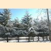 DSC_0378a.jpg 3.1K