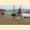 DSC_1435a.jpg 2.6K