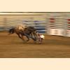 DSC_2290a.jpg 2.3K