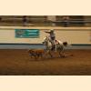 DSC_2658a.jpg 2.3K