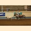 DSC_2674a.jpg 2.4K