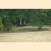 DSC_3474a.jpg 2.3K