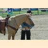 DSC_3847a.jpg 2.8K