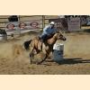 DSC_6419a.jpg 2.8K