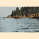 DSC_0349a.jpg 2.6K