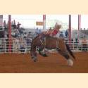 DSC_1557a.jpg 3.1K