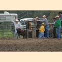 DSC_6573a.jpg 3.2K