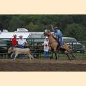 DSC_6723a.jpg 3.1K