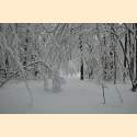 DSC_9673a.jpg 2.7K