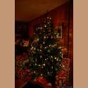 DSC_2585a.jpg 2.9K