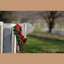 DSC_2676a.jpg 2.6K