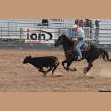 DSC_2888a.jpg 3.2K