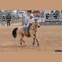 DSC_2918a.jpg 3.2K