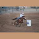 DSC_4466a.jpg 2.4K