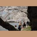 DSC_5062a.jpg 3.3K