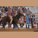 DSC_6065a.jpg 3.7K