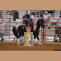 DSC_6067a.jpg 3.8K