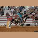 DSC_6075a.jpg 3.8K