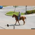 DSC_6282a.jpg 2.8K