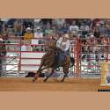 DSC_6647a.jpg 3.8K