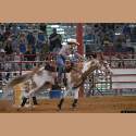 DSC_6652a.jpg 3.6K