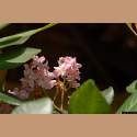 DSC_6819a.jpg 2.9K