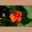 DSC_6855a.jpg 2.7K