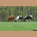 DSC_6993a.jpg 2.9K