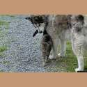 DSC_6999a.jpg 3.3K