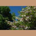 DSC_7036a.jpg 3.7K