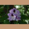 DSC_7047a.jpg 2.9K