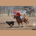 DSC_7700a.jpg 3.4K