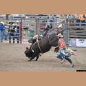 DSC_9065a.jpg 3.5K