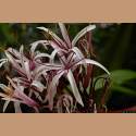DSC_9174a.jpg 3.6K