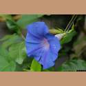 DSC_9204a.jpg 2.7K