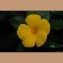 DSC_9213a.jpg 2.3K