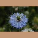 DSC_9283a.jpg 2.7K