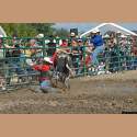 DSC_0723a.jpg 3.7K