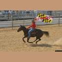 DSC_1463a.jpg 3.1K