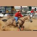 DSC_1661a.jpg 3.6K