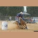 DSC_2412a.jpg 3.0K