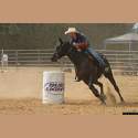 DSC_2460a.jpg 2.7K
