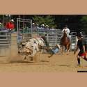 DSC_2491a.jpg 3.3K