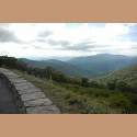 DSC_2798a.jpg 2.5K