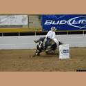DSC_3213a.jpg 3.1K