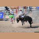 DSC_0215.jpg   135.5K