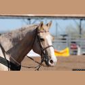 DSC_0500.jpg   138.4K