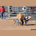 DSC_1506.jpg   196.6K