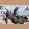 DSC_1590.jpg   183.4K
