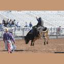 DSC_1615.jpg   219.8K